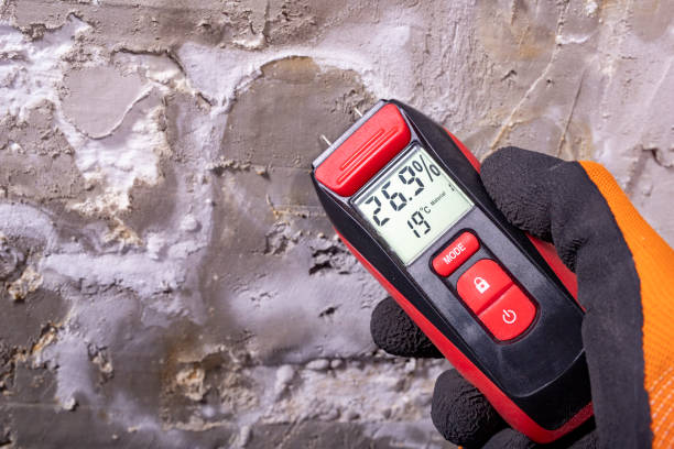 Pahokee, FL Mold Removal Company