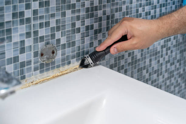 Best Commercial Mold Removal  in Pahokee, FL